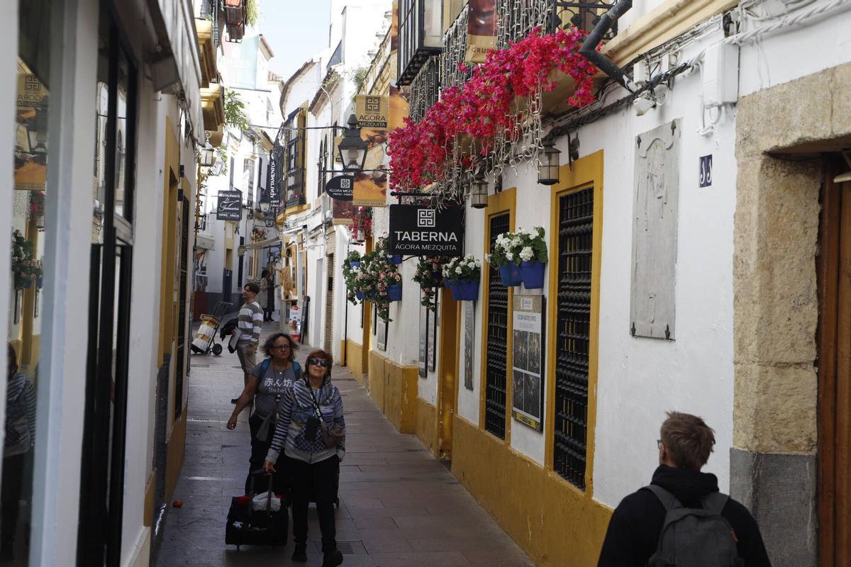 Guías turísticos y vecinos alertan de la invasión de flores de plástico en el casco histórico.