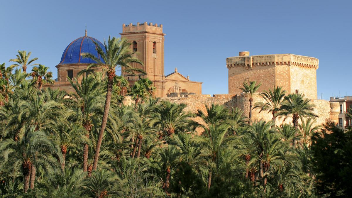 Palmeral de Elche, Patrimonio Mundial de la UNESCO.