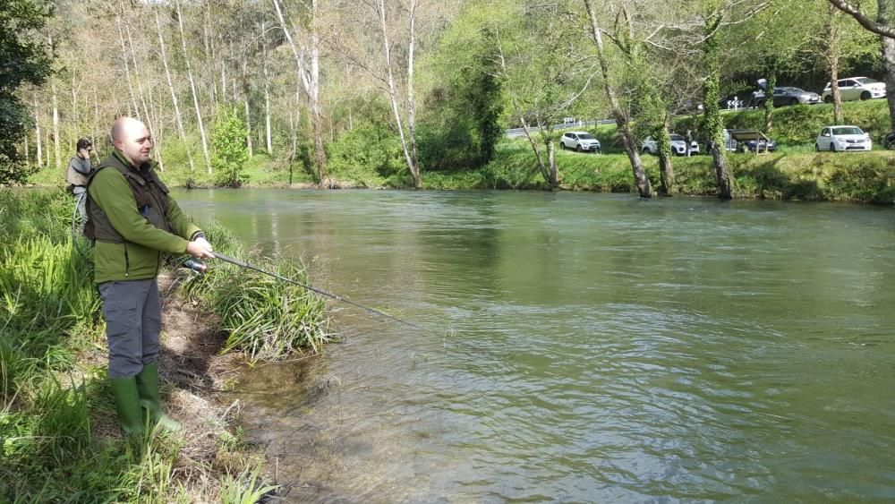 Pescadores en busca del Campanu en el río Eo