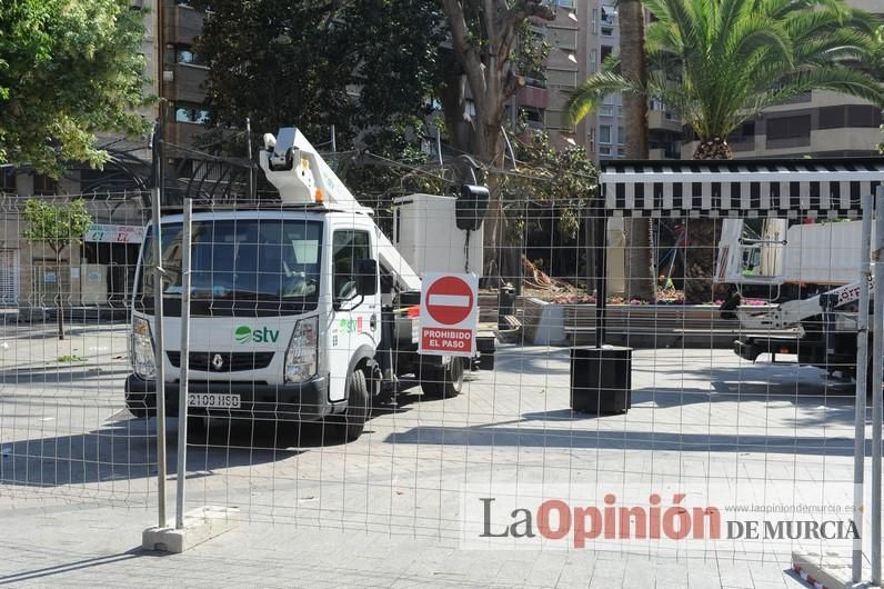 El día después de la caída de la rama del ficus de