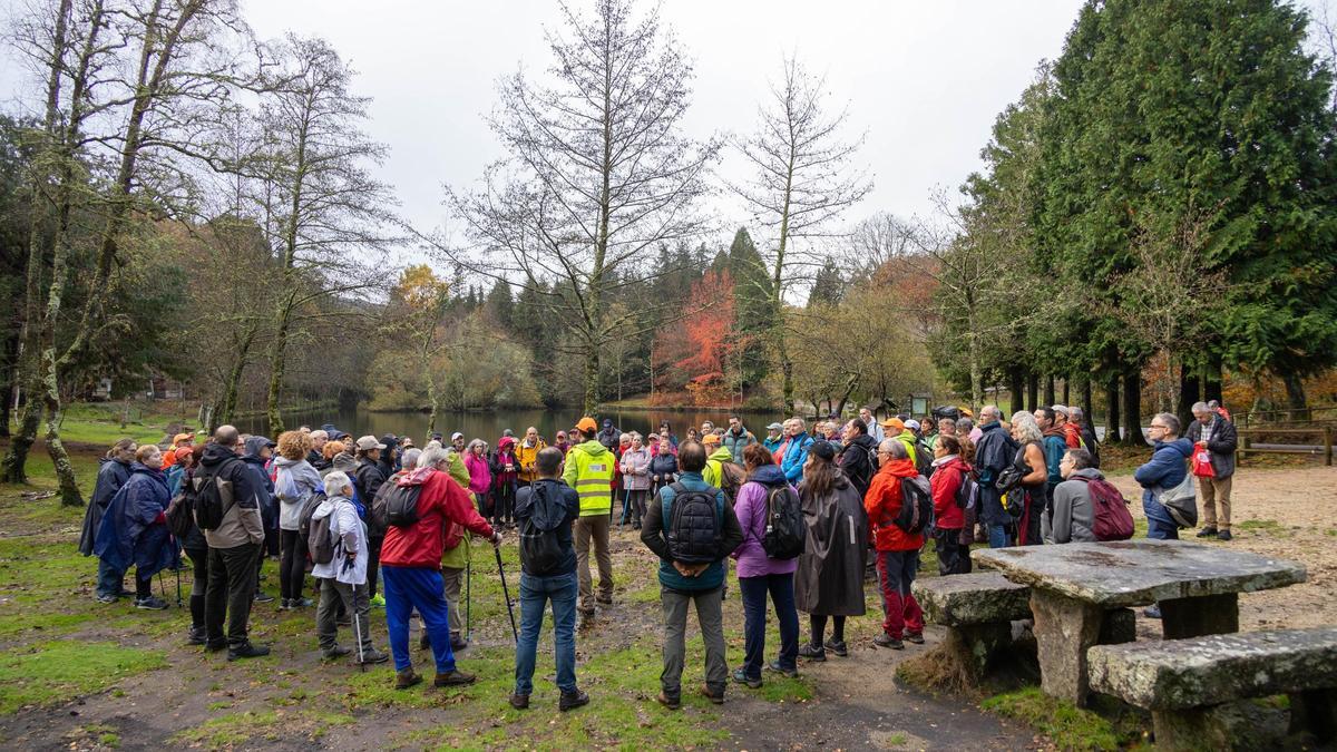 Participantes en una de las rutas de senderismo gratuitas del progama de Vigo Camiño a Camiño.