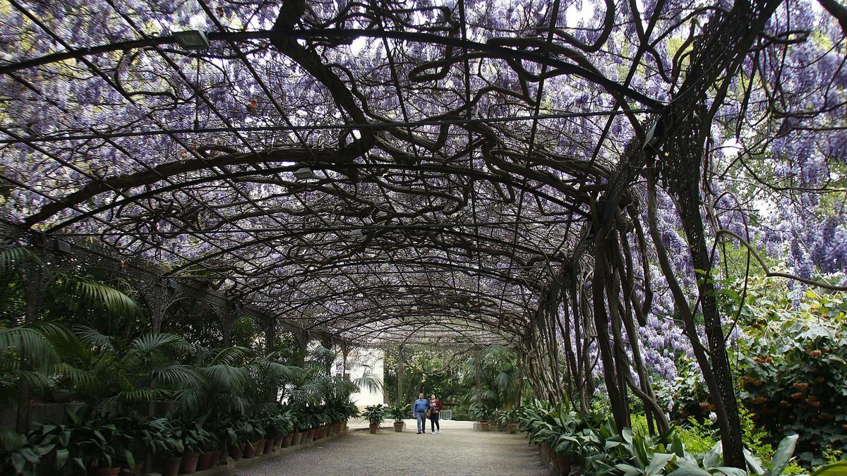 Imagen del jardín.