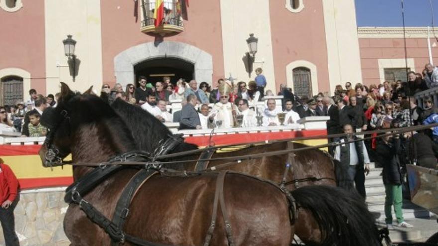 Bendición de animales en Cartagena por San Antón