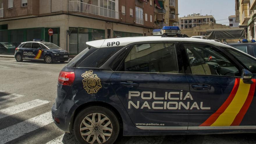 Detenido en Elche un hombre con más de 600 plantas de marihuana en casa