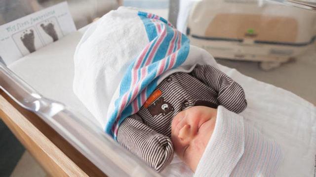 La sangre del cordón umbilical de los bebés es rica en células madre.