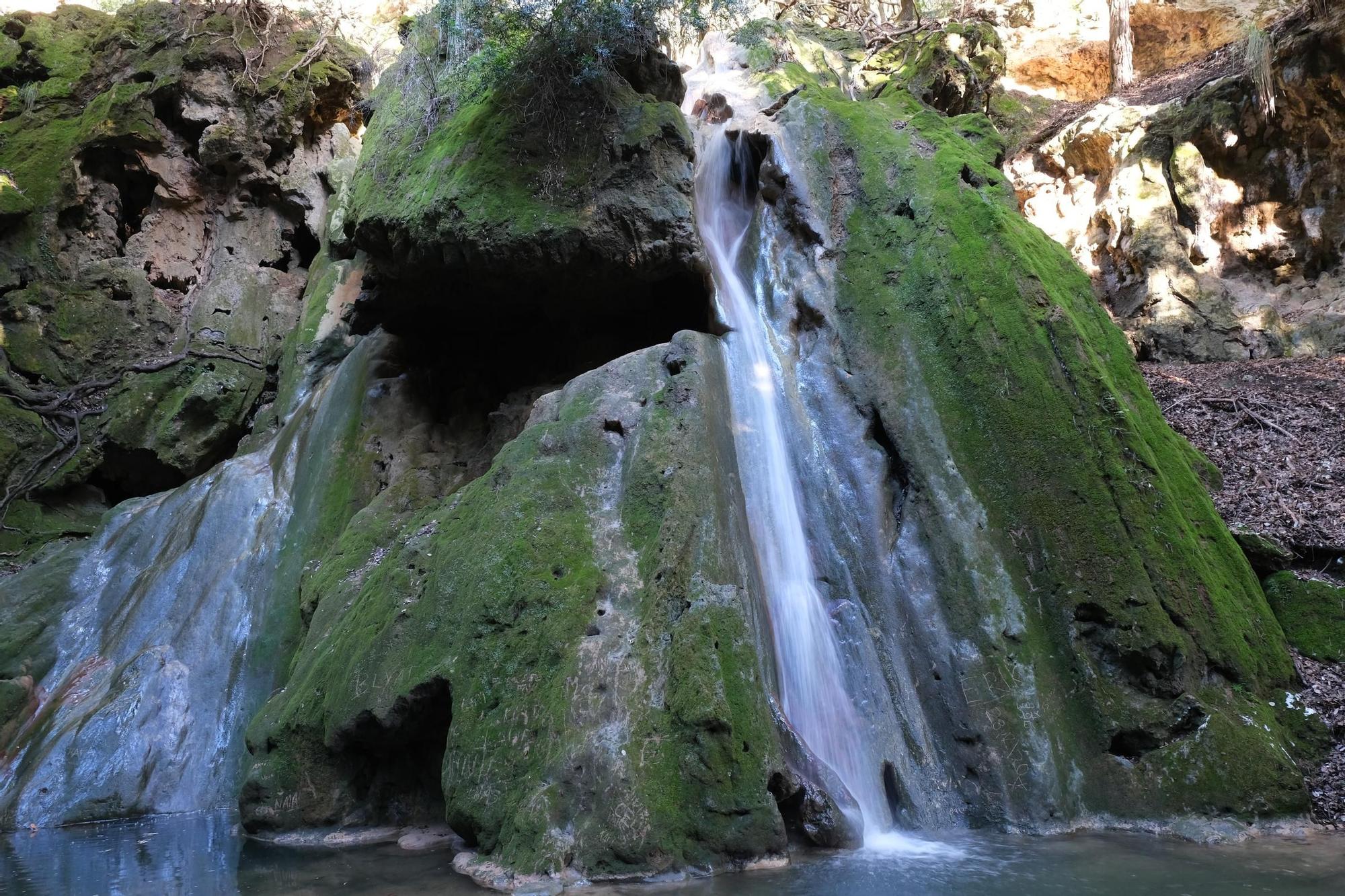 Las imágenes de la espectacular cascada del Salt del Freu