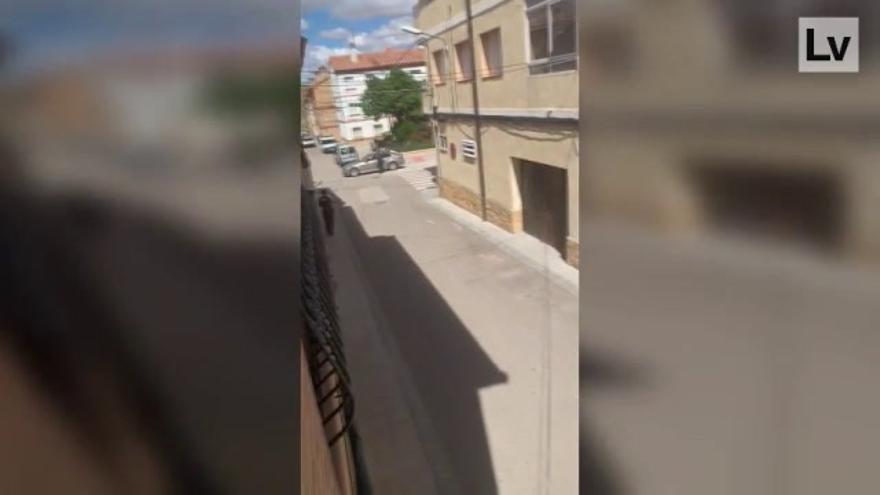 Detención del Rambo de Requena