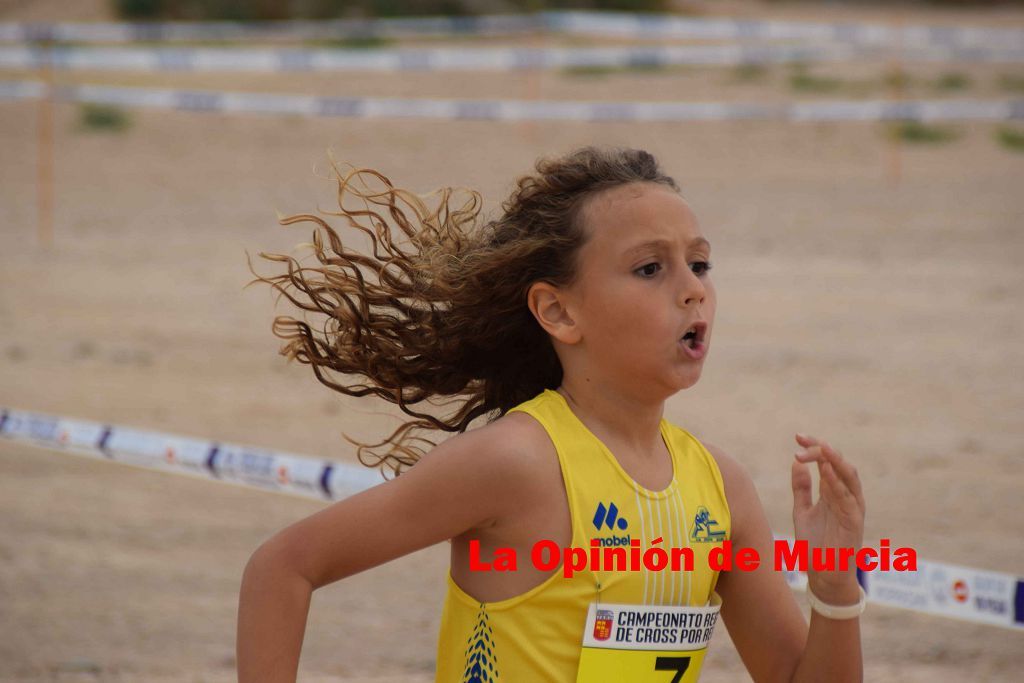 Campeonato Regional de relevos mixtos de atletismo