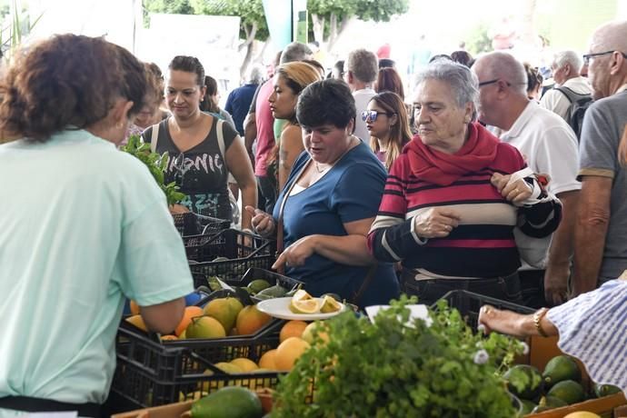 III FERIA DEL AGUACATE