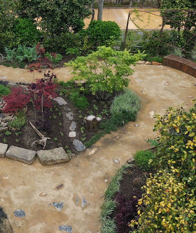 A Paz entre o Homem e a Natureza