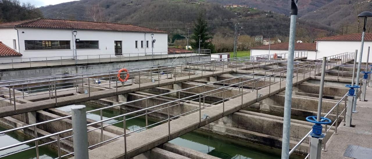 La planta potabilizadora de Aguas de Langreo en Entralgo. | LNE