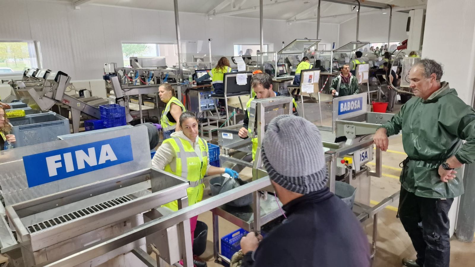 Así es el día a día en el puerto y la lonja de O Testal (Noia), donde cada vez se dan cita más mariscadores arousanos.