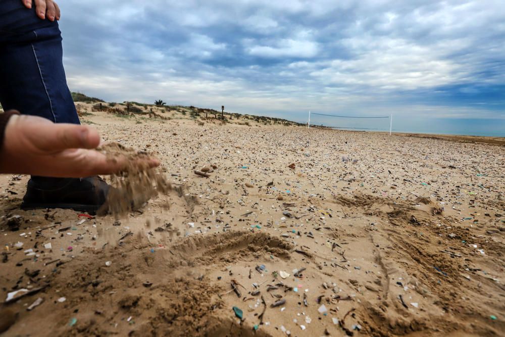 Más de tres mil fragmentos de plástico por metro cuadrado se pueden encontrar en la arena de la playa situada junto a la desembocadura del Segura en Guardamar