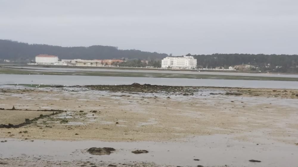 "Mareas vivas" en las rías gallegas.