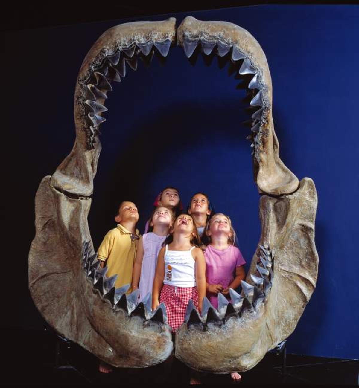 En familia en el museo de Dinópolis