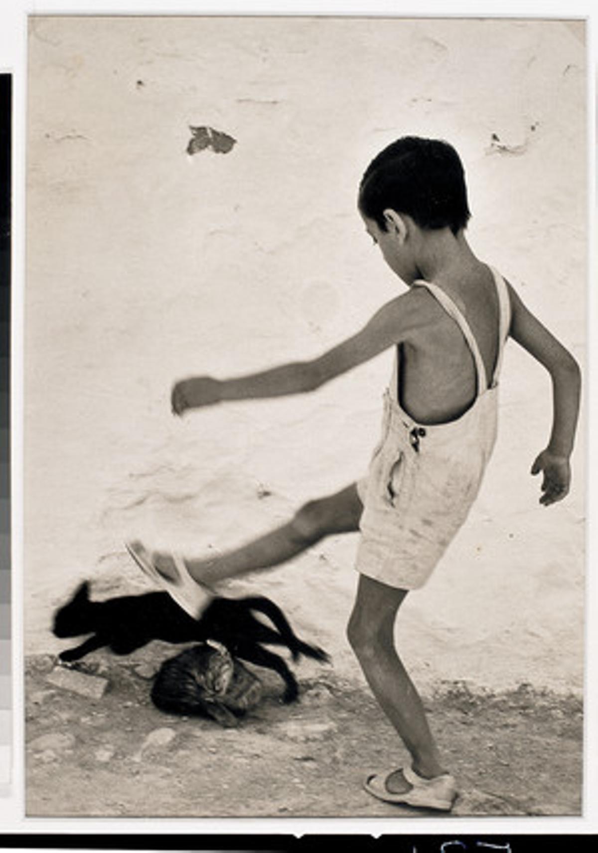 Fotografía titulada ’Niño y Gato’. Imagen perteneciente al fondo fotográfico del Museu Nacional d’Art de Catalunya (MNAC).