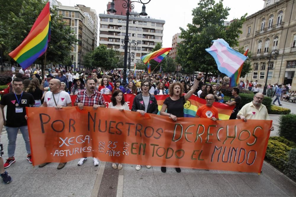 Manifestación del Orgullín del Norte.