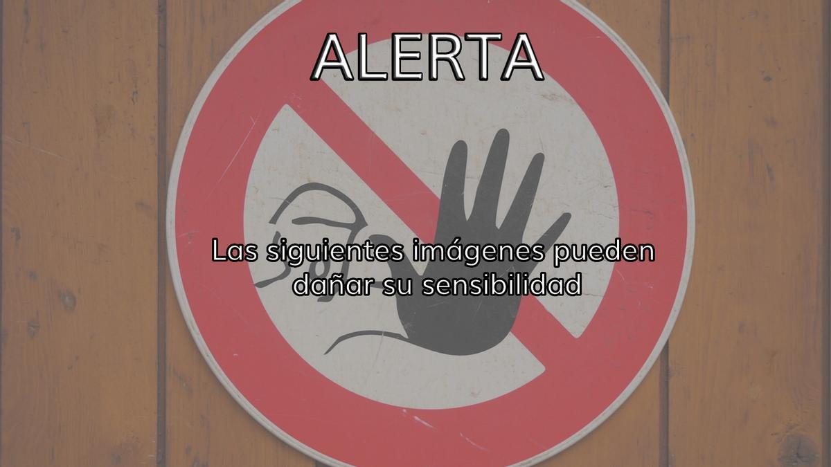 Caso de maltrato animal en Tenerife