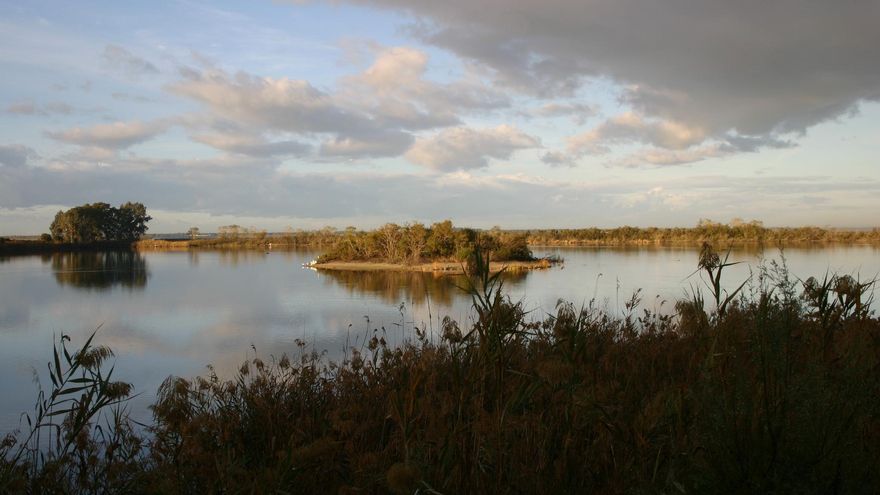 España incumple sus compromisos sobre la conservación de los humedales, denuncia SEO/BirdLife