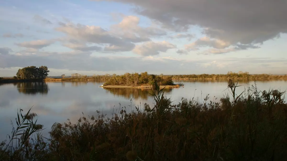 España incumple sus compromisos sobre la conservación de los humedales, denuncia SEO/BirdLife