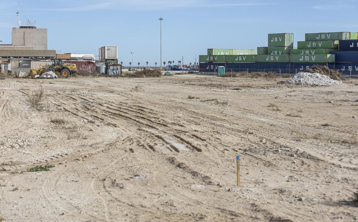 Terrenos donde se construye la piscifactoría del puerto de Alicante.
