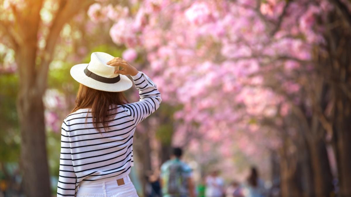 La primavera es una época del año muy especial para viajar.