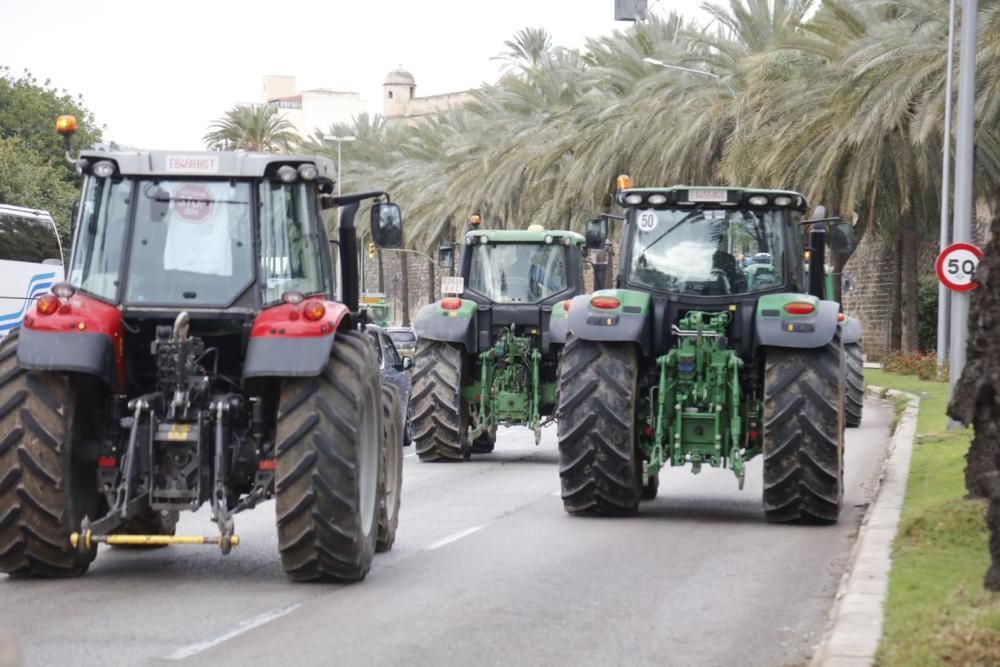 Tractorada sorpresa de los agricultores de Mallorca contra el Govern Armengol