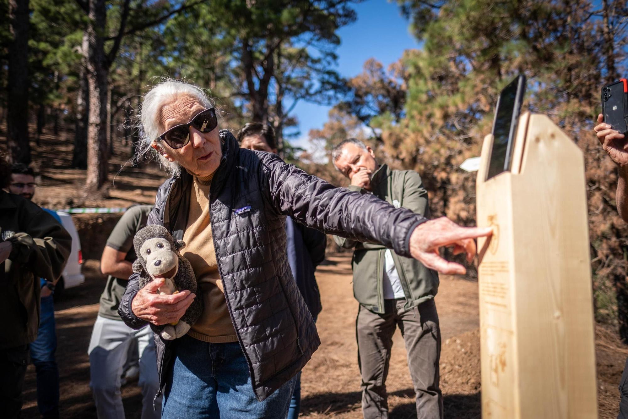 Jane Goodall visita distintos lugares en Tenerife