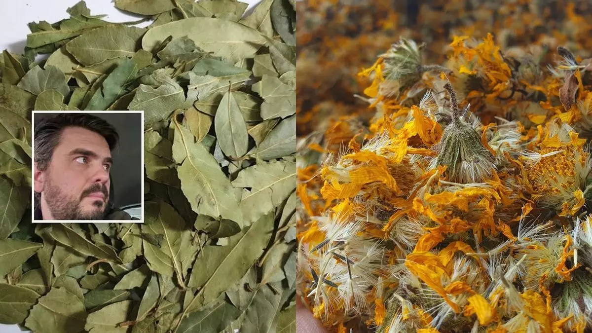 Dejó la banca en Madrid para seguir con el negocio de su abuelo en Galicia: vender plantas medicinales y especias a medio mundo