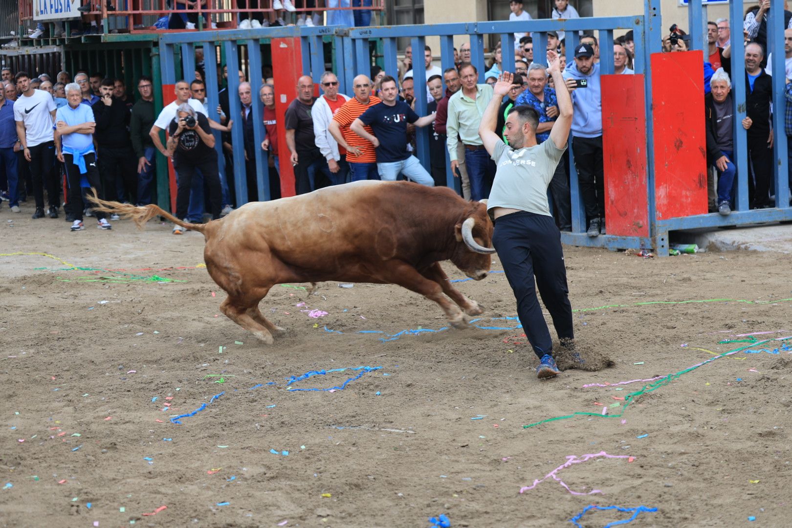 Fotos de la tarde taurina del jueves de las fiestas de Sant Pasqual en Vila-real
