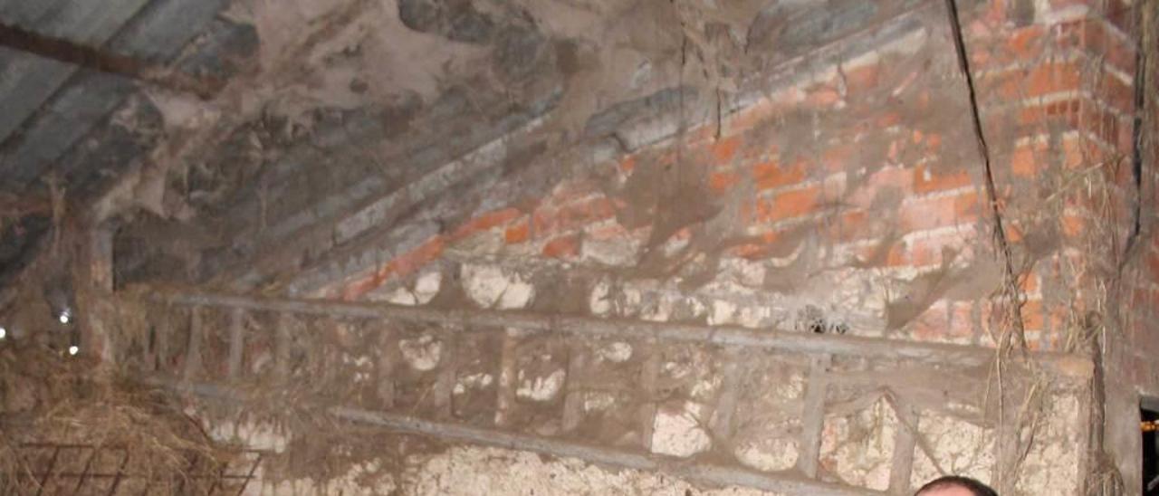 Milito Motas, junto a las reses bovinas de su ganadería en Villar (Muros de Nalón).