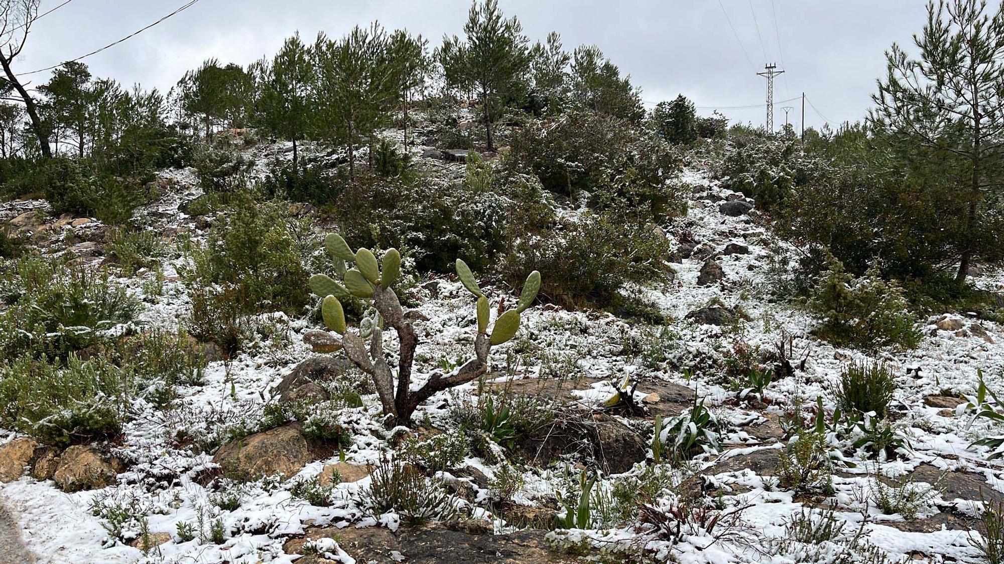 Galería de imágenes de la nevada por la borrasca Juliette en Ibiza