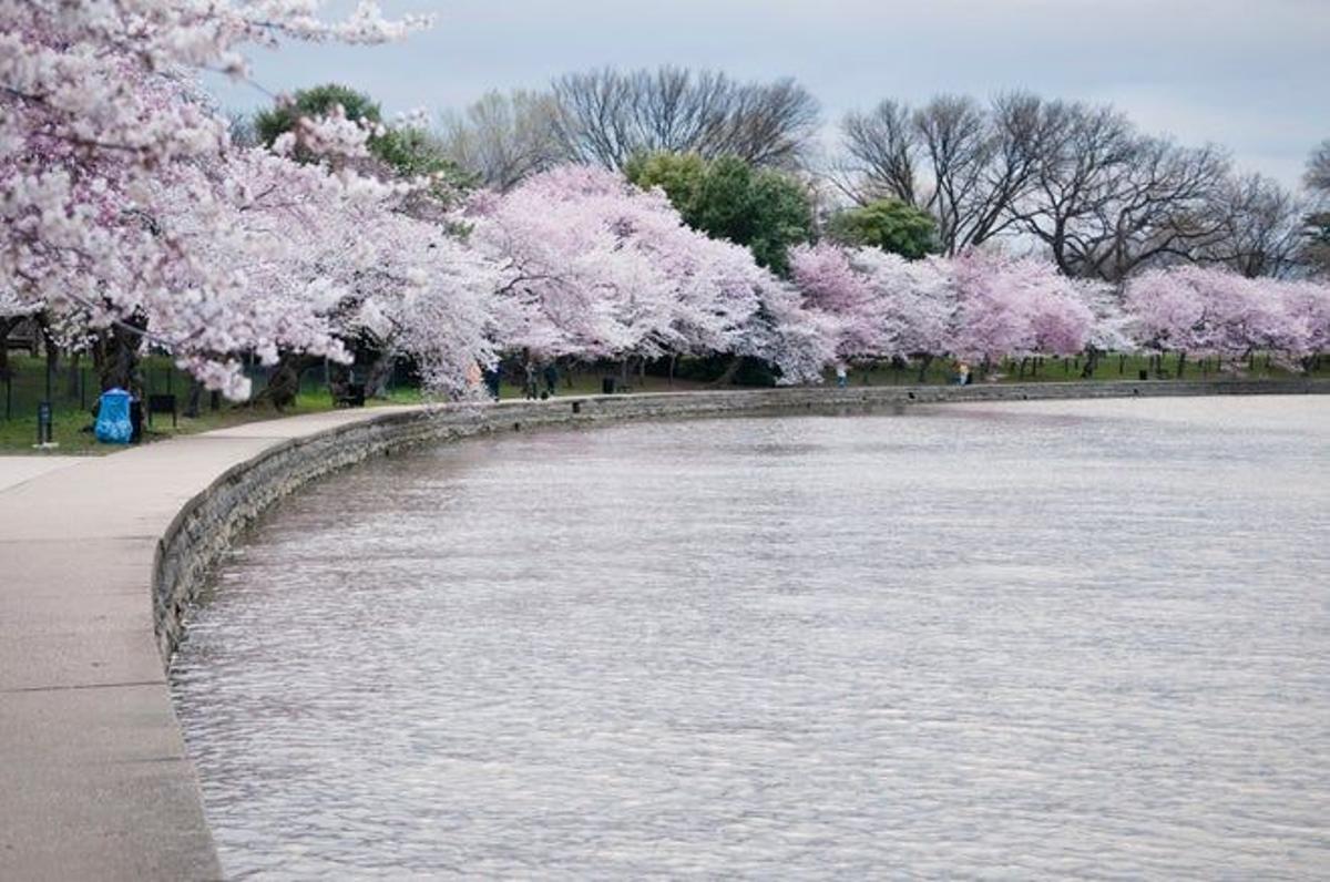 Parque East Potomac