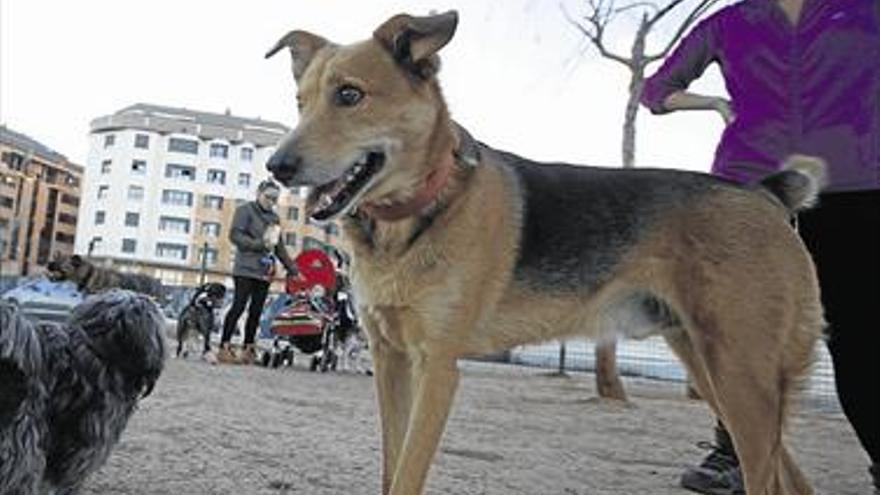 Los vecinos de la zona norte piden quitar el parque canino por ruidos