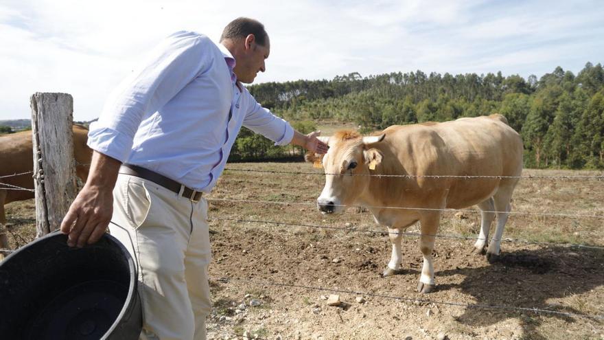 &quot;Canela&quot; o la certeza de la crisis ganadera