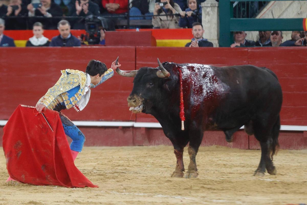 Tarde de toros de Santiago Domecq en la Feria de Fallas con Perera, Víctor Hernández y Marco Pérez