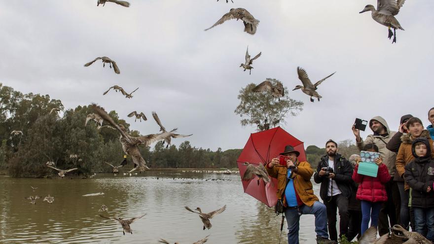 Un parque en Sevilla conocido como el "paraíso de las aves": era un vertedero y ahora tiene 180 especies