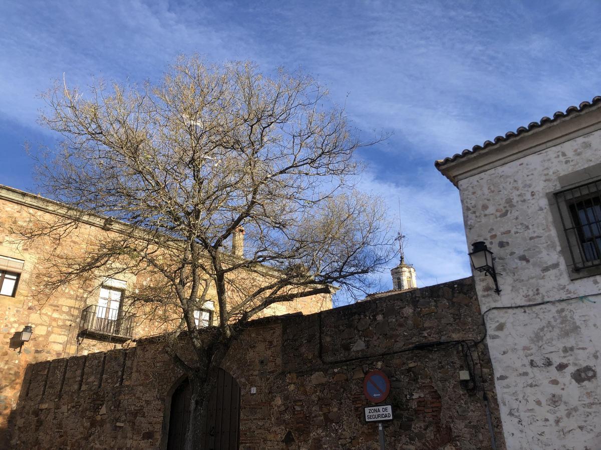 Fotogalería | Cáceres, se venden dulces artesanos