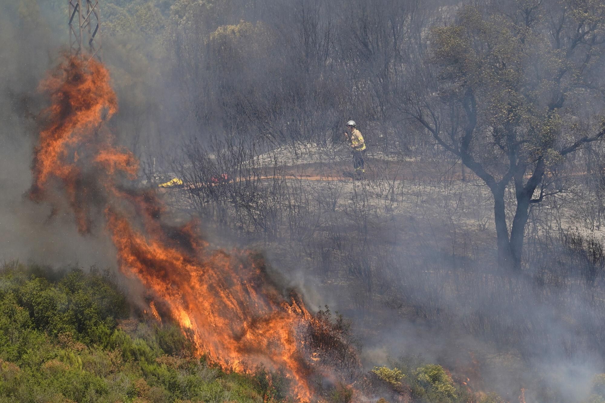 Girona zona boscosa font de la pólvora sant Daniel incendi forestal