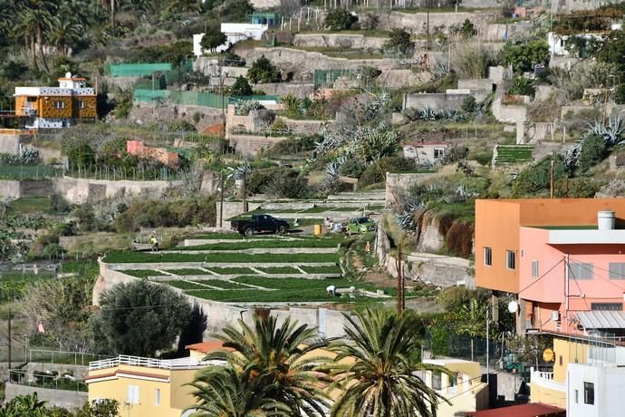 Caminos rurales a asfaltar en Telde