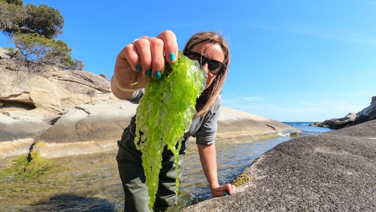 La tècnica ambiental, Mariona Alabau, amb algues del Mediterrani.