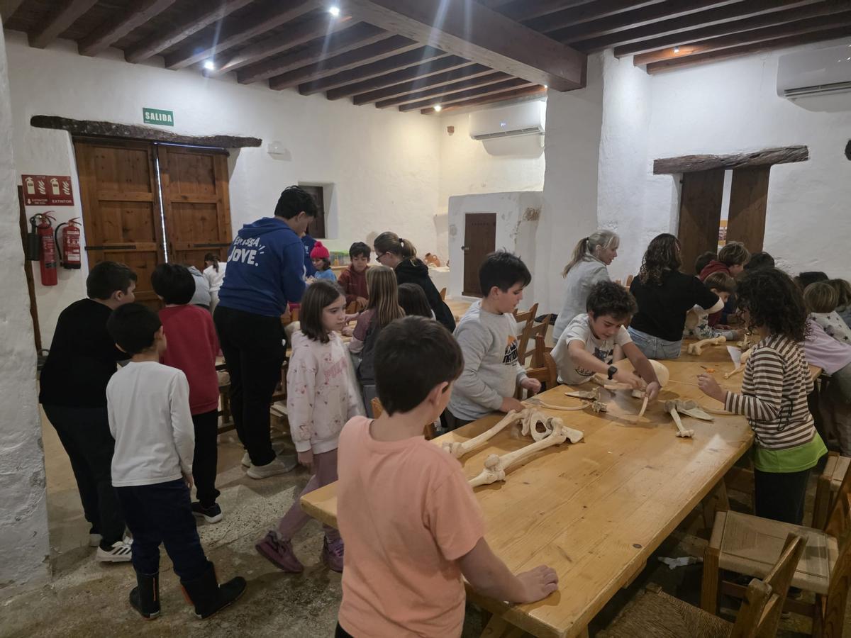 Estas son las imágenes del campamento de arqueología en Can Tomeu, programación Natura