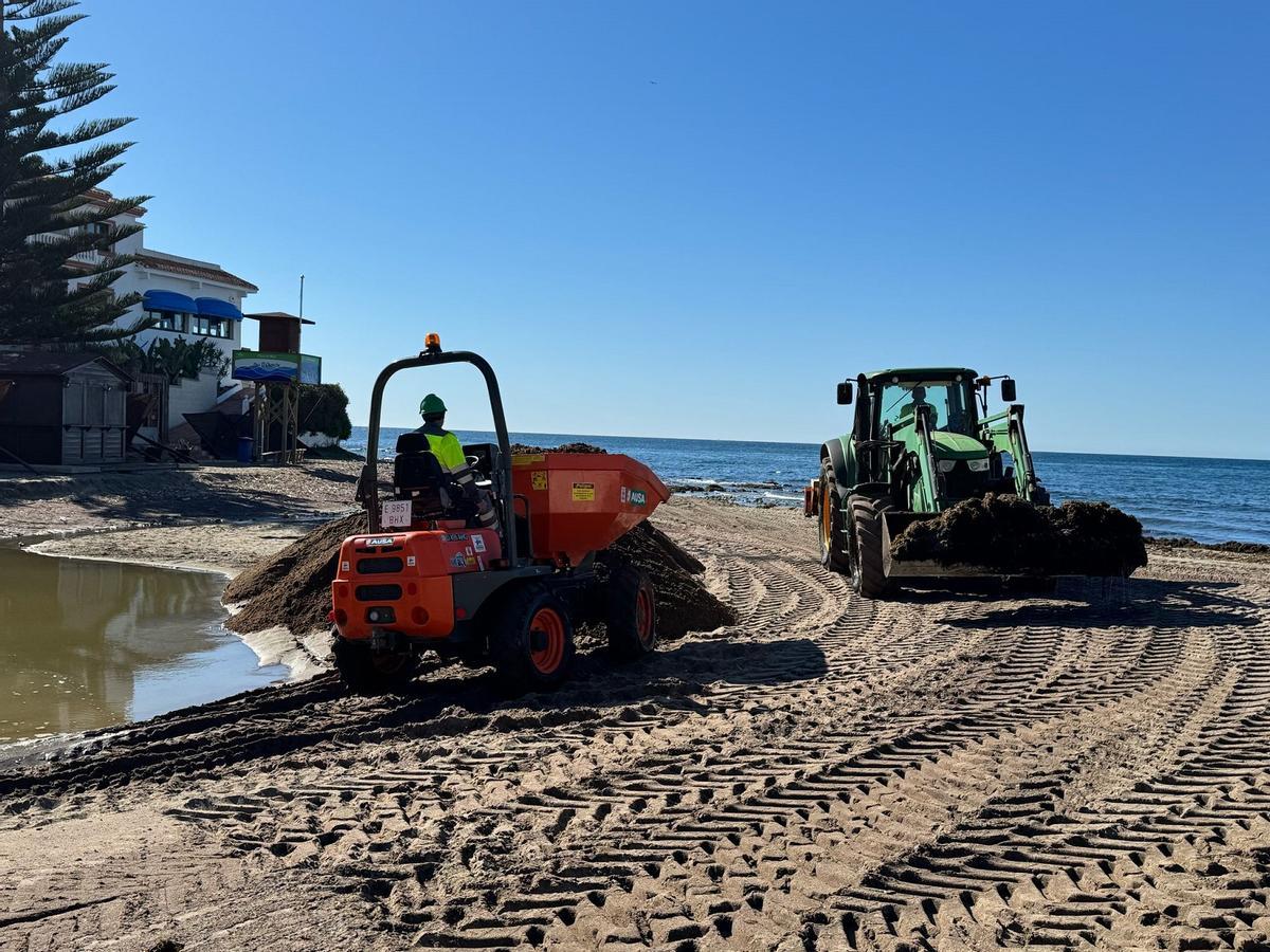 Junto a los aportes de arena, se están instalando nuevas pasarelas en los accesos y módulos de aseos y salvamento.