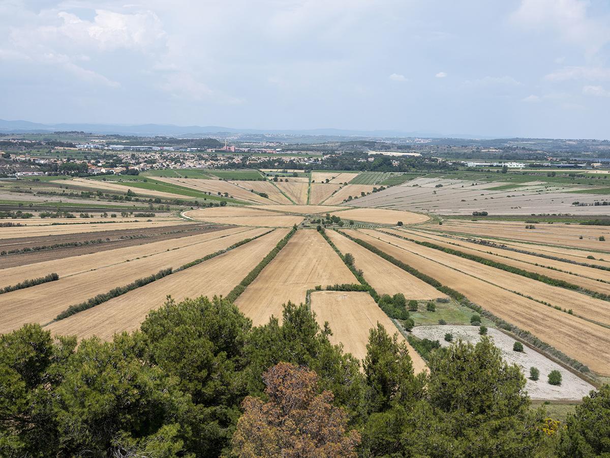Ensérune, oppidum y museo arqueológico