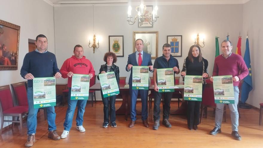 Más de 500 reses participarán en la cita ganadera de Corao este sábado