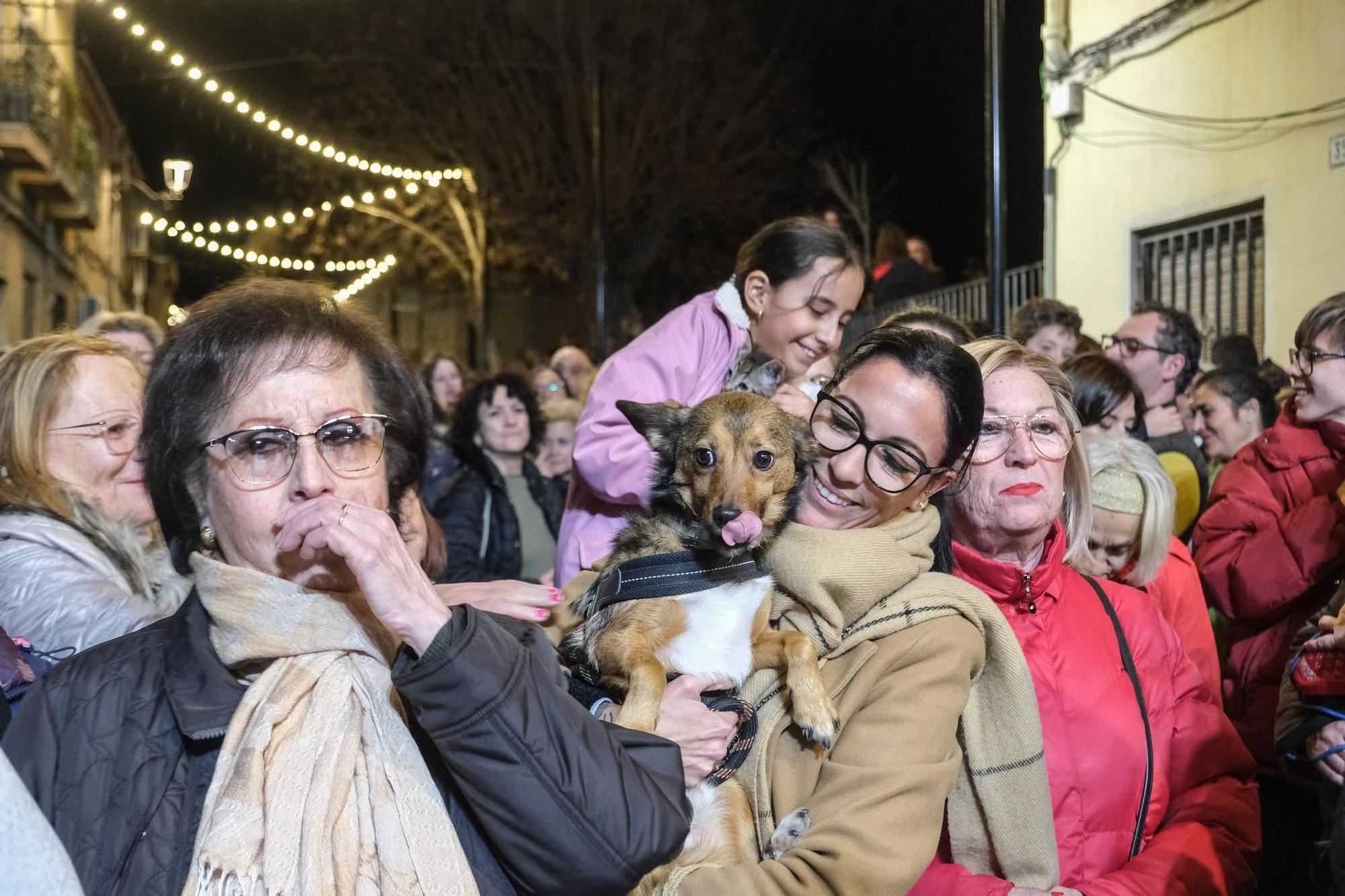 Así ha sido la celebración de la festividad de San Antón en Elda