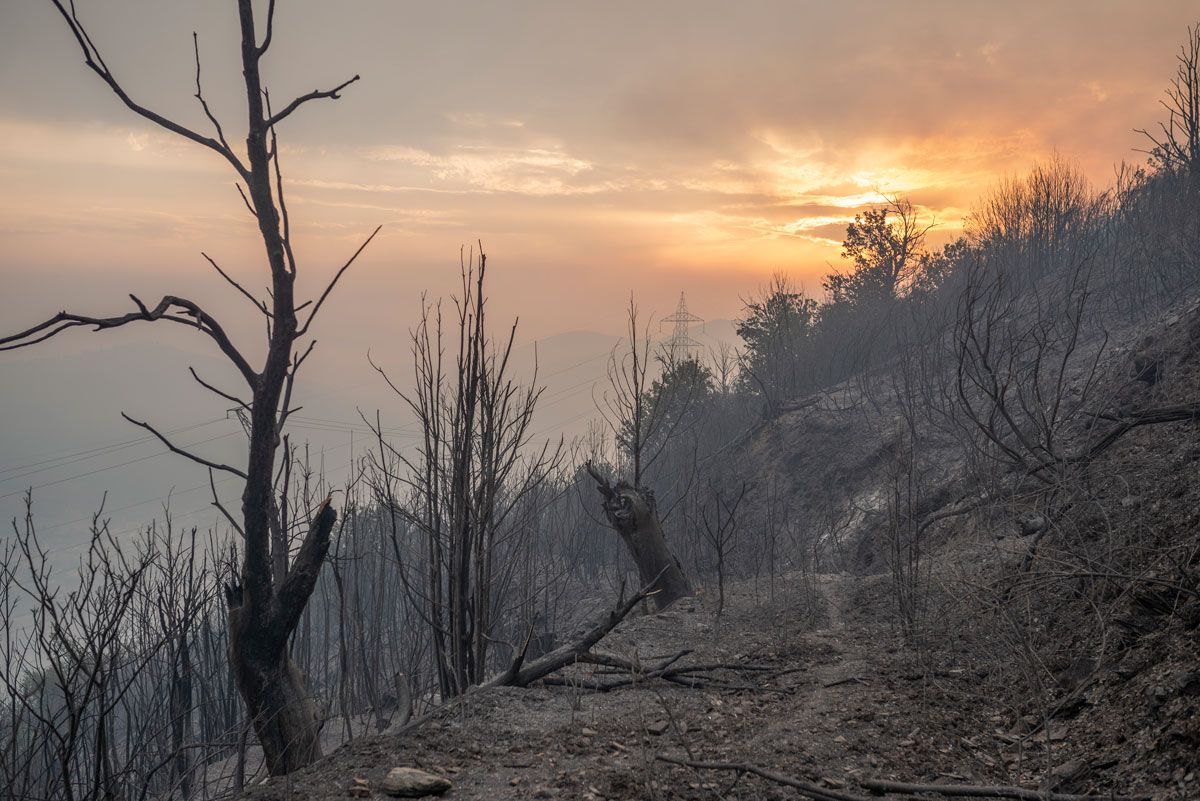 Incendio en O Barco de Valdeorras, donde han ardido 15 casas y unas 3.000 hectáreas