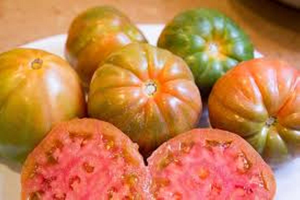 Tomates valencianos, en una imagen de archivo.
