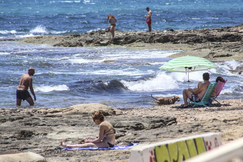 Los bañistas están acudiendo con perros a Punta Margalla y Cala del Moro, las dos playas autorizadas para perros, sin que el Ayuntamiento las haya señalizado todavía.