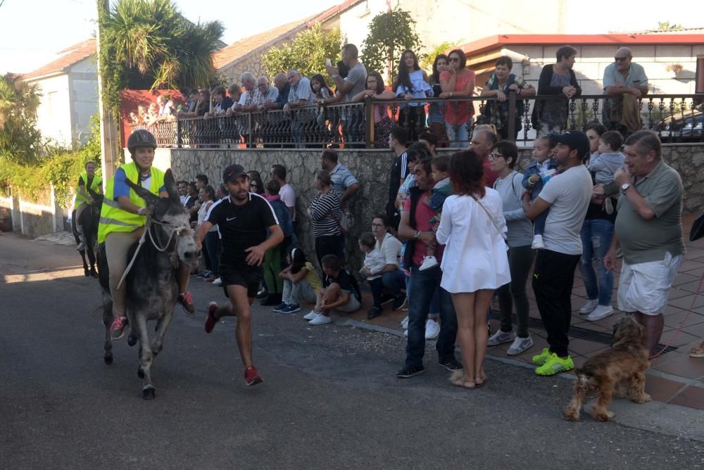 "Chulo" se apunta a los años impares